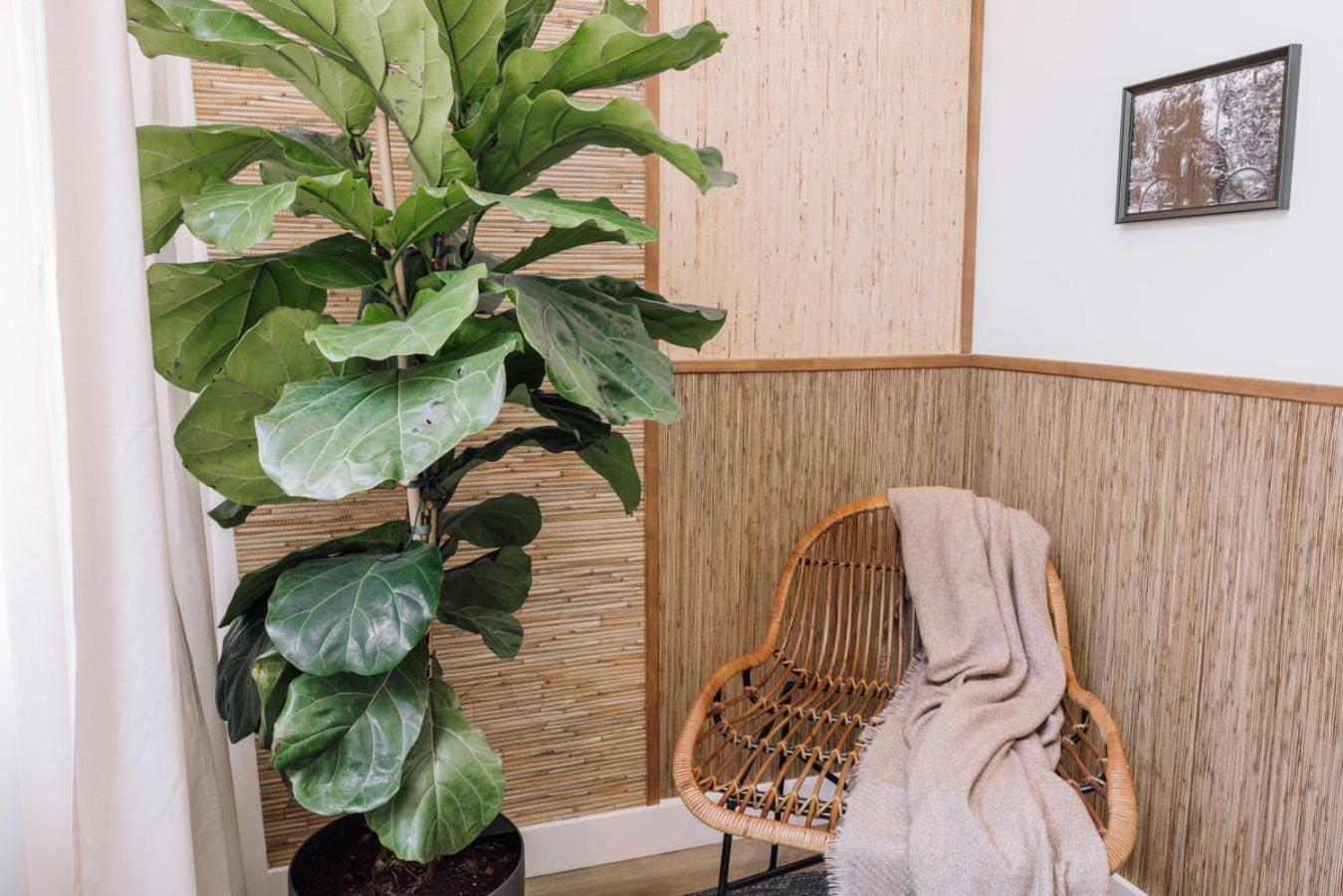 Uere - 1 Bedroom In Avenidas Novas Lisboa